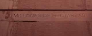 41 millones de hectáreas 