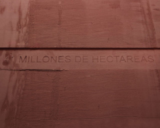 41 millones de hectáreas 