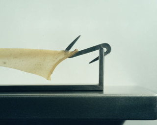 detalle